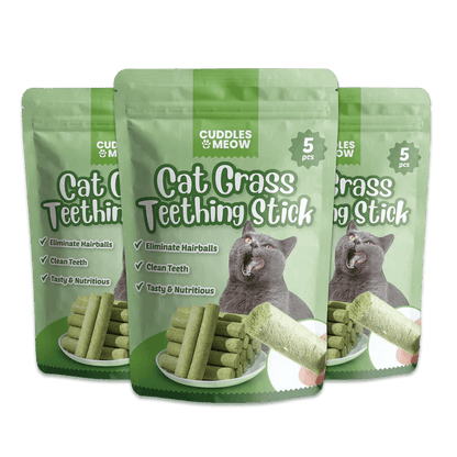 Cat Grass Teething Sticks - CentralFlows