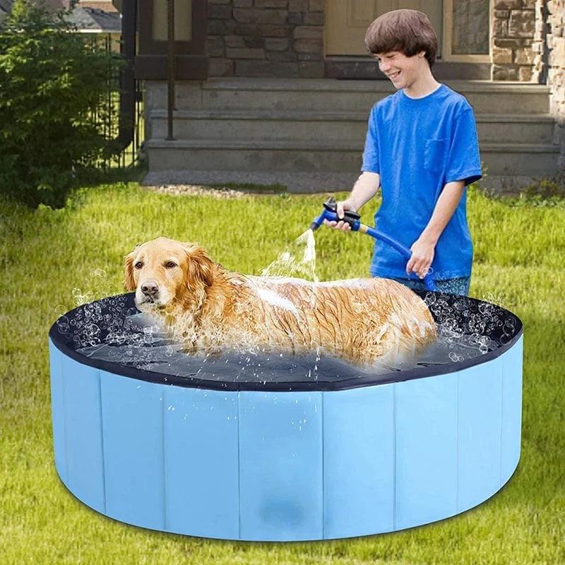 Piscine pour Chien - CentralFlows